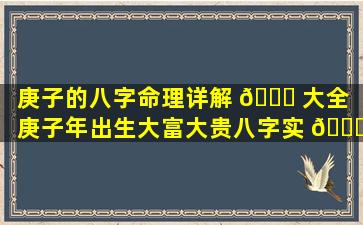 庚子的八字命理详解 🐒 大全「庚子年出生大富大贵八字实 🐟 例」